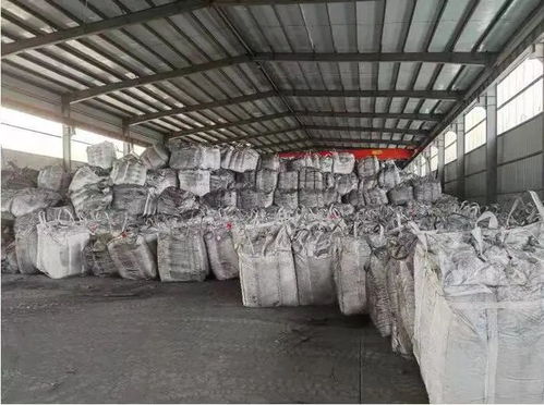 技术开发领域的政府失职 中央督察组的严厉批评与行业反思