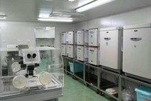 上海市胚胎与生殖工程重点实验室 引领技术创新与生殖健康发展的前沿阵地